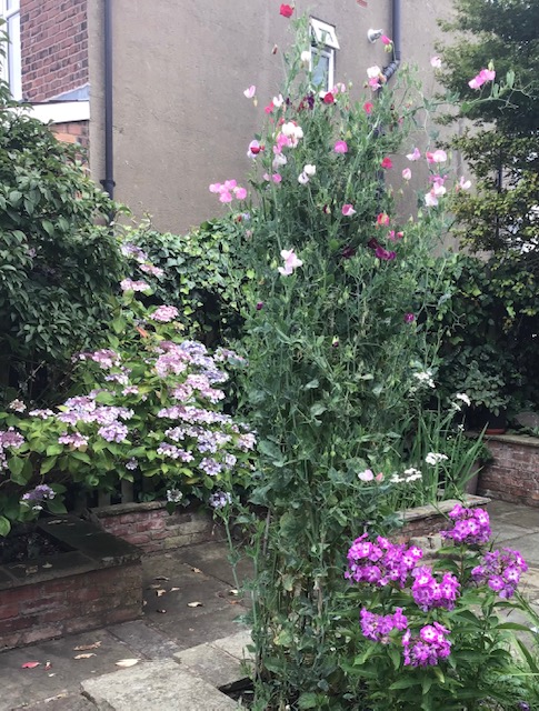 anne_glodstraw_garden_image 3