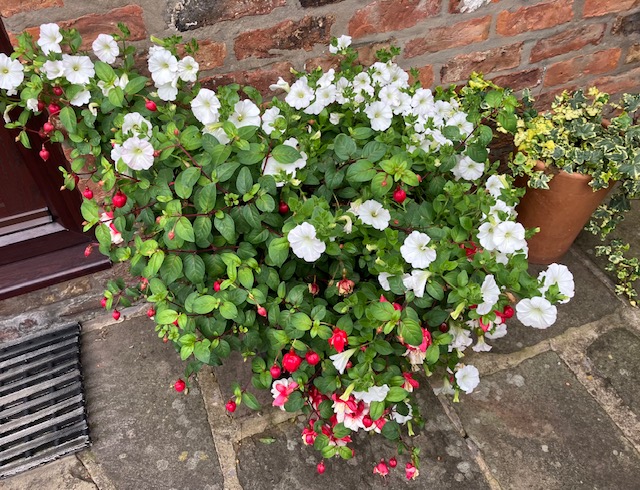 anne_glodstraw_garden_image 2