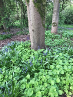 cyta may theme image from anne bailey