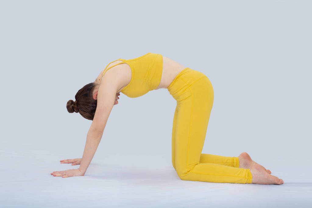 Cat / cow yoga pose